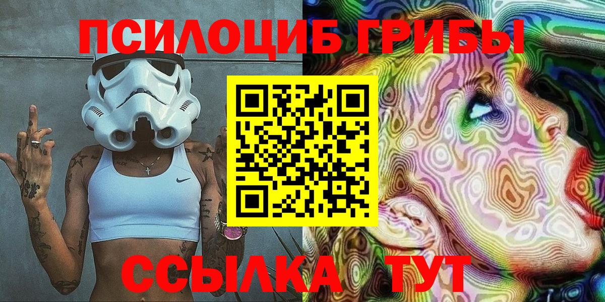 Псилоцибиновые грибы Psilocybe Арзамас